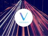 Alles over Vechain cryptomunt (1)